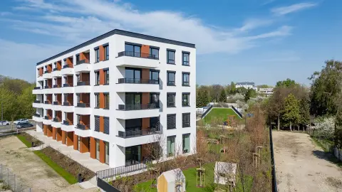 Moja Bluszczańska wizualizacja